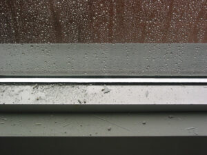 dust and debris on window sill